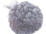 sample